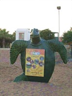 Мир черепах
